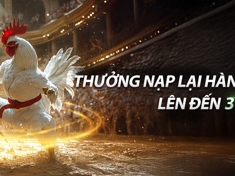 Hoàn trả hàng ngày j9bet