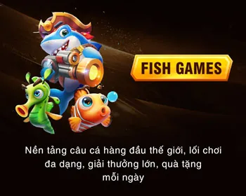 Biến động cao